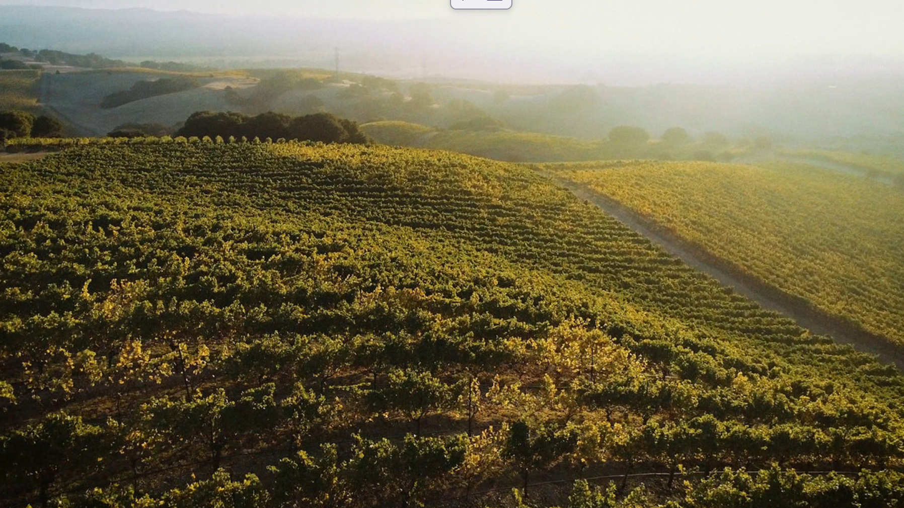 Sojourn Cellars Wins 2019 Wine Spectator Video Contest > Wine Spectator Article