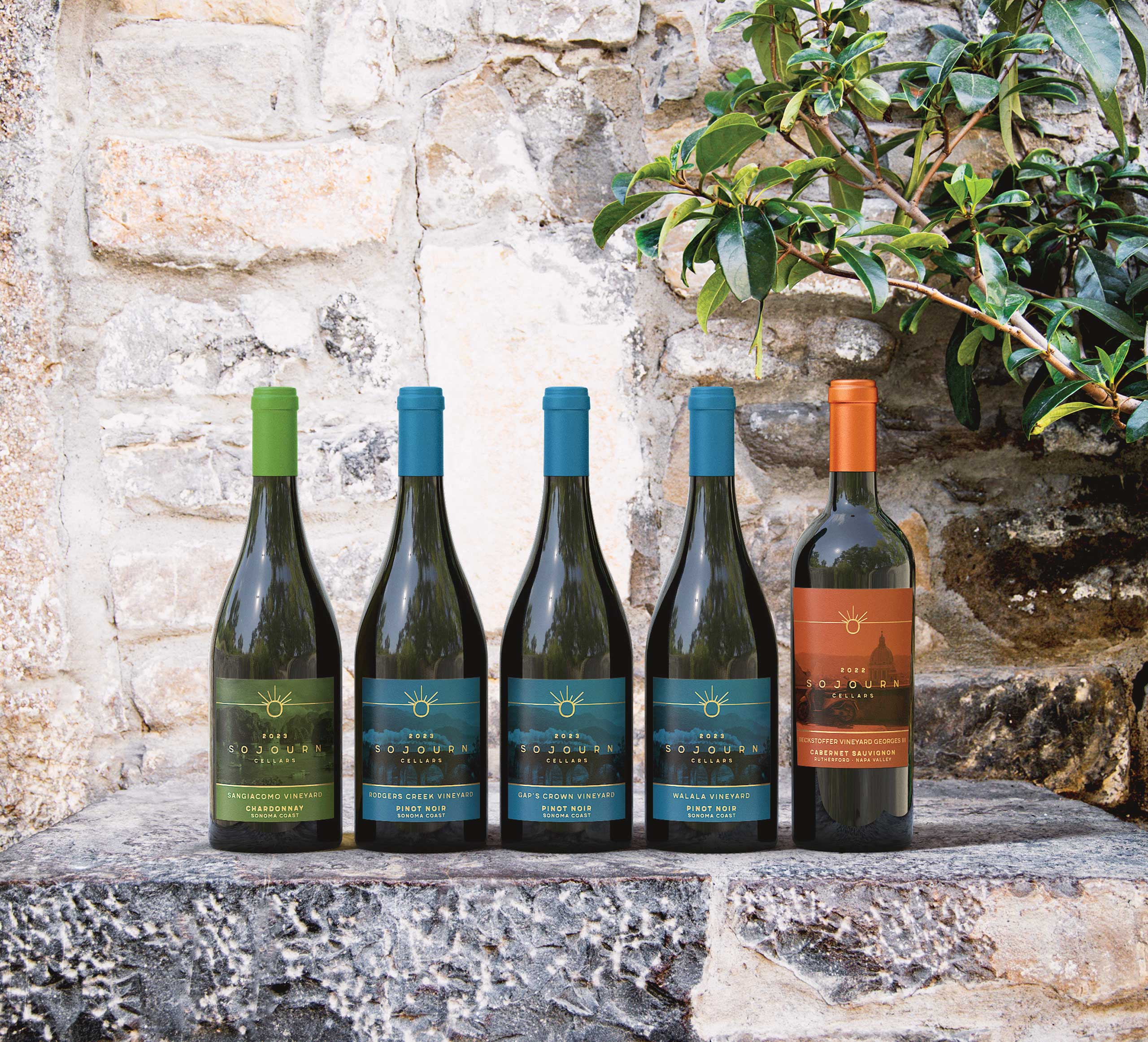 Sojourn 2025 Release Pinot Noir – Wine Spectator